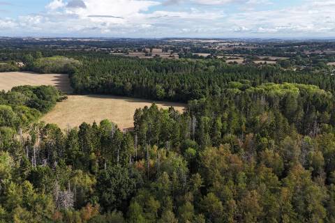 Property for auction in Dorset