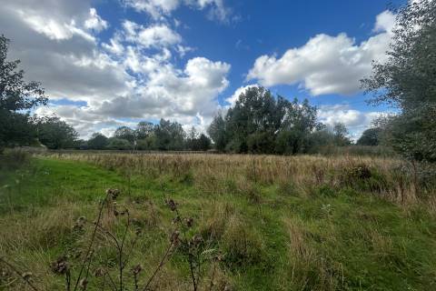 Property for auction in Suffolk