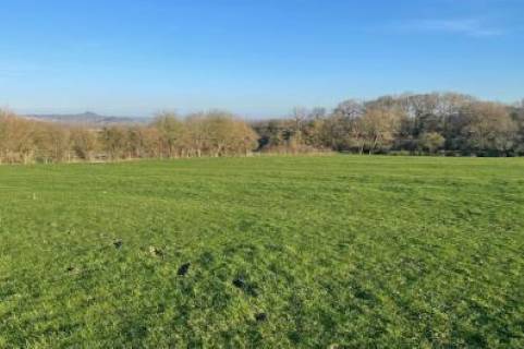Property for auction in Somerset