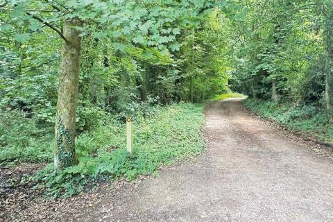 Property for auction in Surrey
