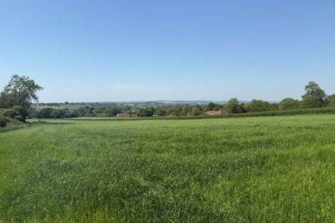 Property for auction in Somerset