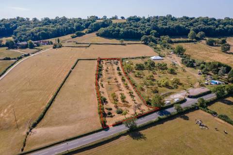 Property for auction in Somerset