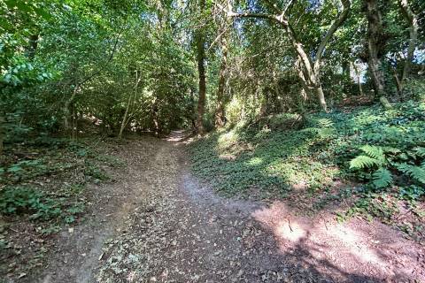 Property for auction in Dorset