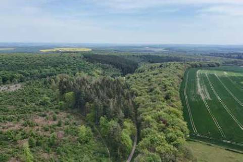 Property for auction in Dorset