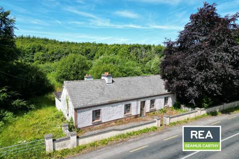 Property for auction in County Roscommon