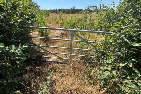 Property for auction in Kent