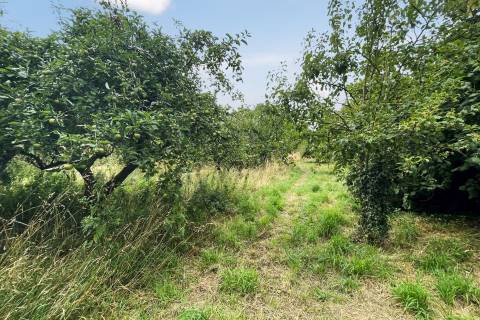 Property for auction in Somerset