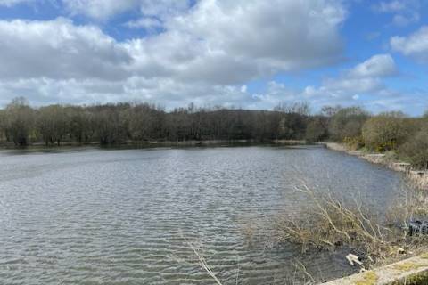 Property for auction in Clwyd