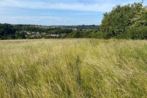 Property for auction in Gloucestershire