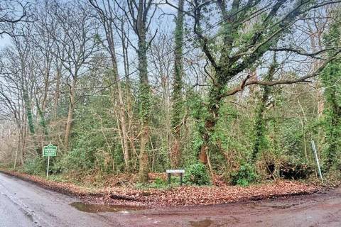 Property for auction in Surrey