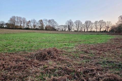 Property for auction in Hampshire