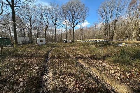 Property for auction in East Sussex