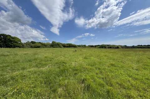 Property for auction in Dorset