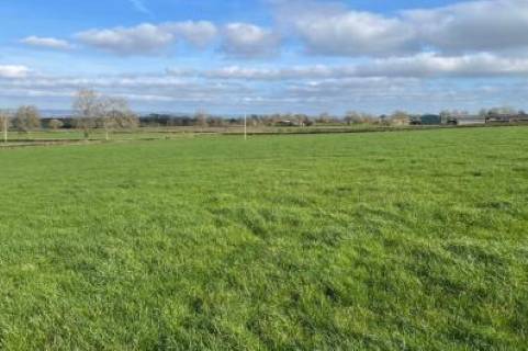 Property for auction in Somerset