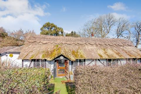 Property for auction in East Sussex