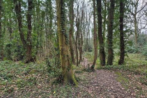 Property for auction in Derbyshire