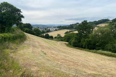 Property for auction in Devon