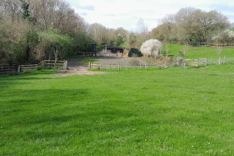Property for auction in Somerset