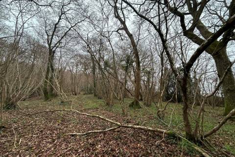 Property for auction in Somerset
