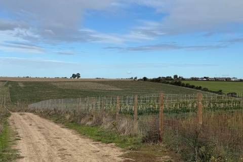 Property for auction in Kent