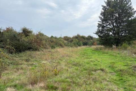 Property for auction in Hampshire