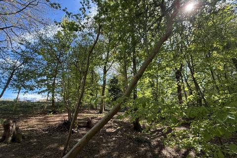 Property for auction in Norfolk