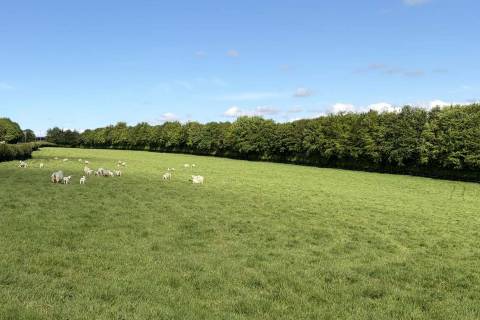 Property for auction in Devon