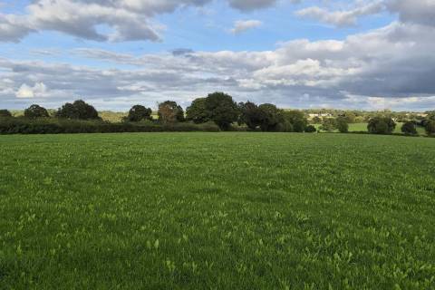 Property for auction in Derbyshire