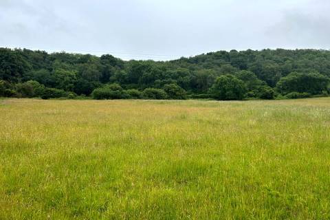 Property for auction in Avon