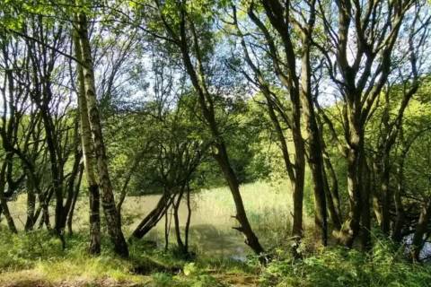 Property for auction in Lancashire