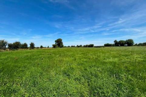 Property for auction in Somerset