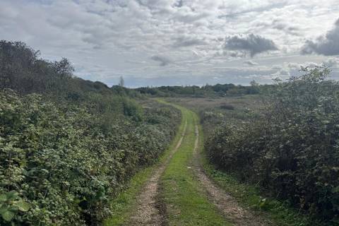 Property for auction in Hampshire