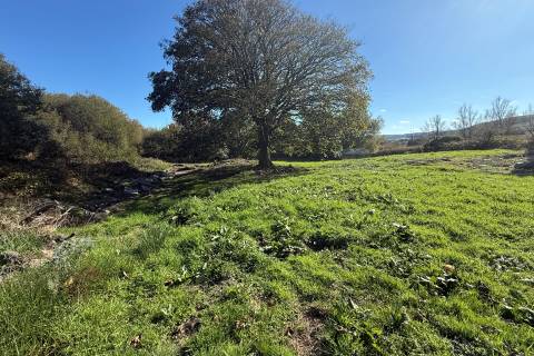 Property for auction in West Glamorgan