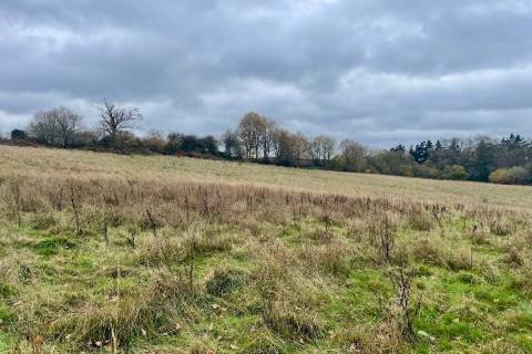 Property for auction in Hampshire