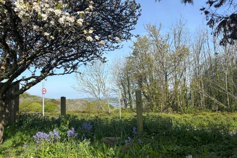 Property for auction in Cornwall