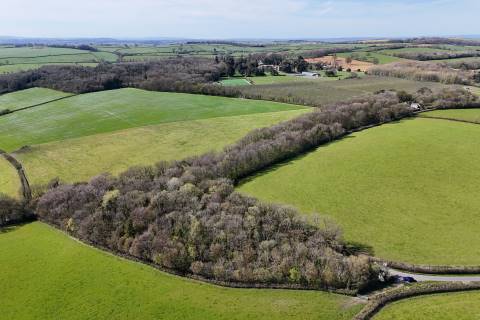 Property for auction in Dorset