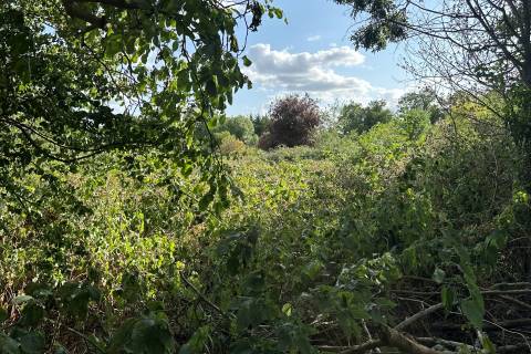 Property for auction in Berkshire