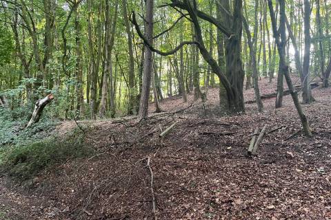 Property for auction in Staffordshire