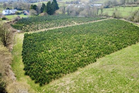 Property for auction in Dyfed