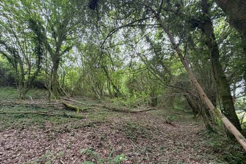Property for auction in Cornwall