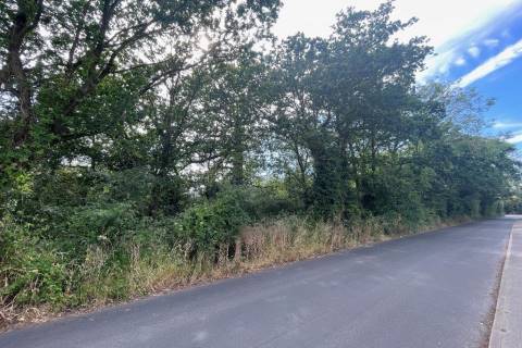 Property for auction in Essex