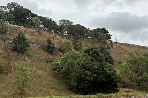 Property for auction in Derbyshire