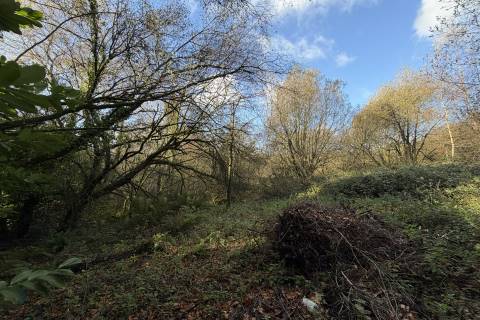 Property for auction in Devon