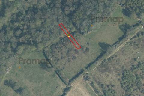 Property for auction in Surrey