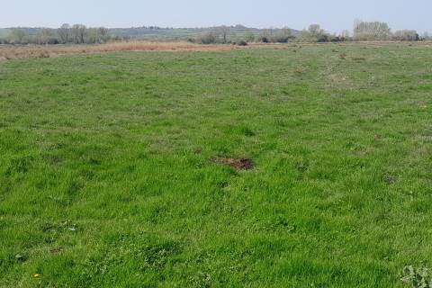 Property for auction in Somerset