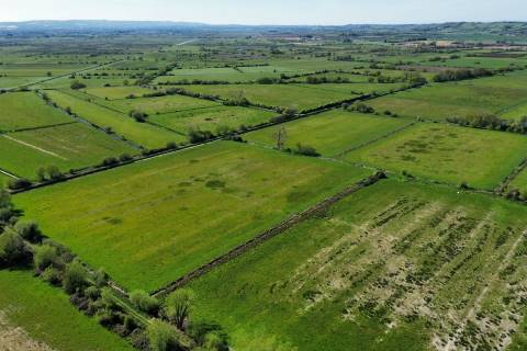 Property for auction in Somerset