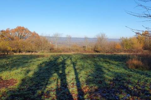 Property for auction in Kent