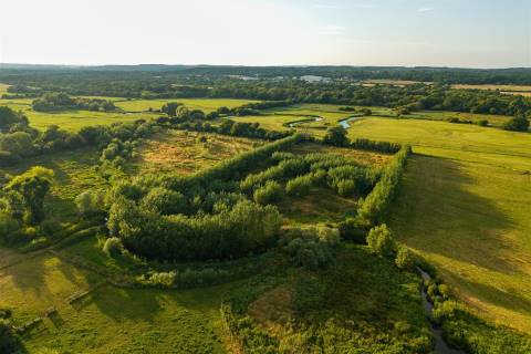 Property for auction in Dorset