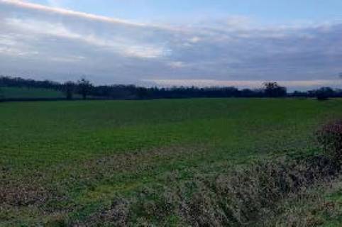 Property for auction in Norfolk