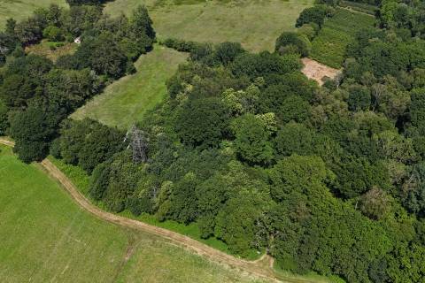 Property for auction in Dorset